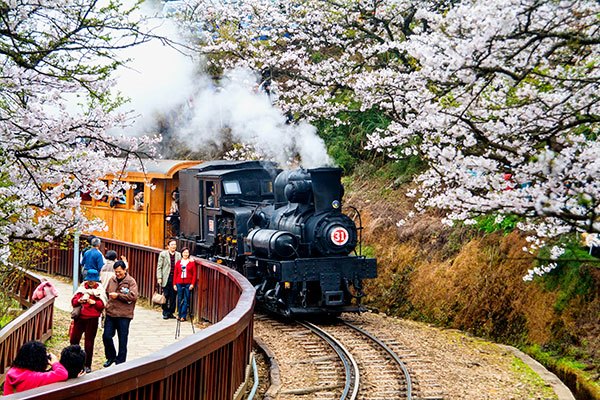 包車旅遊產品圖片